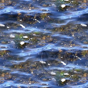Shallow water 64