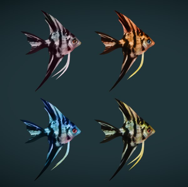 lowpoly angel fish