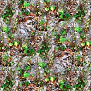 Stonewall with vines 17