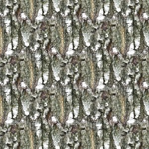 Tree bark 25