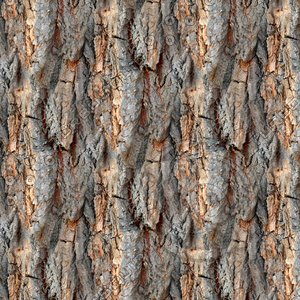Tree bark 49