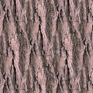 Tree bark 07