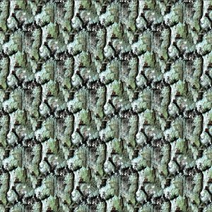 Tree bark 65