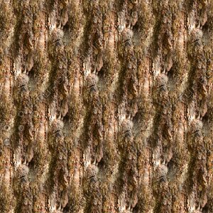 Tree bark 62