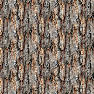 Tree bark 77
