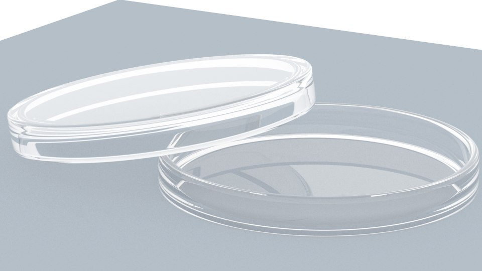 Petri dish 3D model TurboSquid 1477985