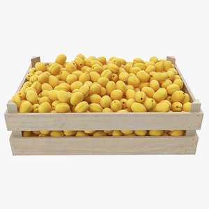 apricots 01-02 wooden crate 3D