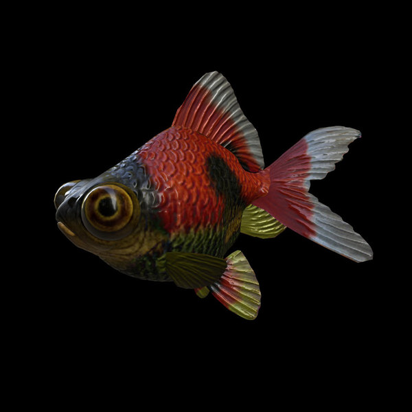 装配的3d鱼模型