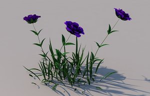 roses violet 3D model