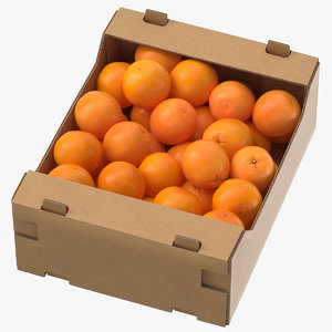 cardboard display box oranges 3D model