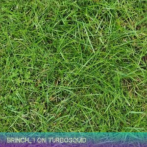 Seamless Grass Texture