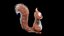 rigged cartoon squirrel fur 3D model