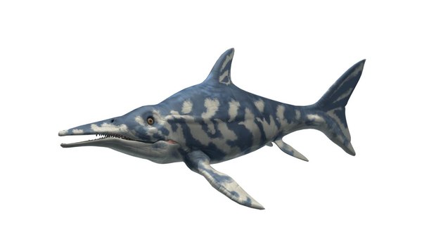 ichthyosaurus dinosaur