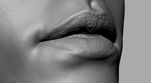 3D female lip