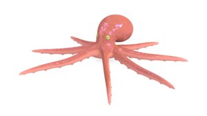 3D nature octopus animals