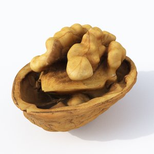 3D open walnut