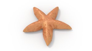star starfish fish 3D model