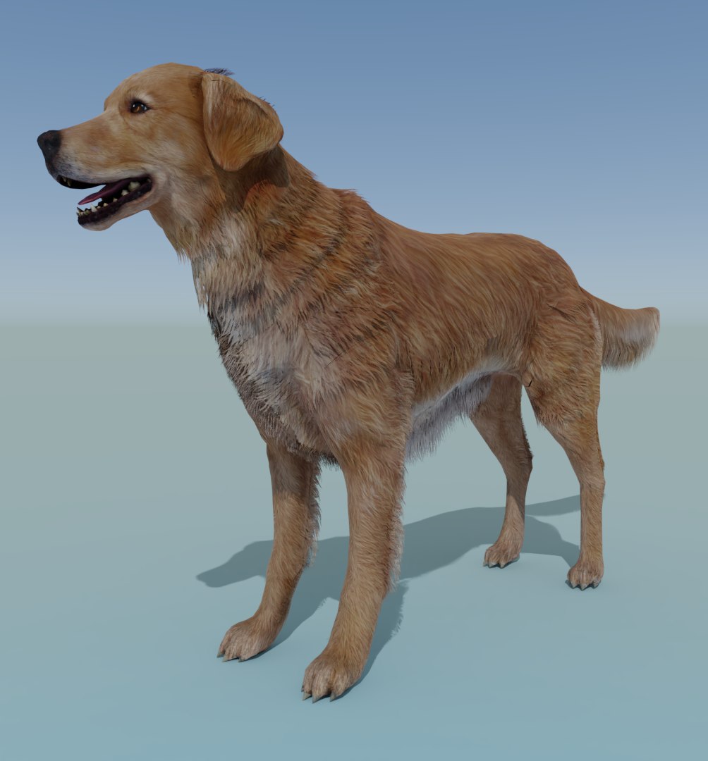 3D rigged dog golden retriever - TurboSquid 1481667