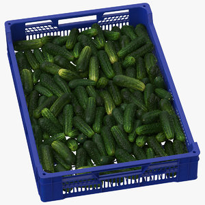 3D postharvest tray kirby cucumbers model