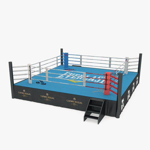 3D boxing ring model