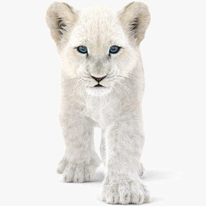 3D baby lion fur animation