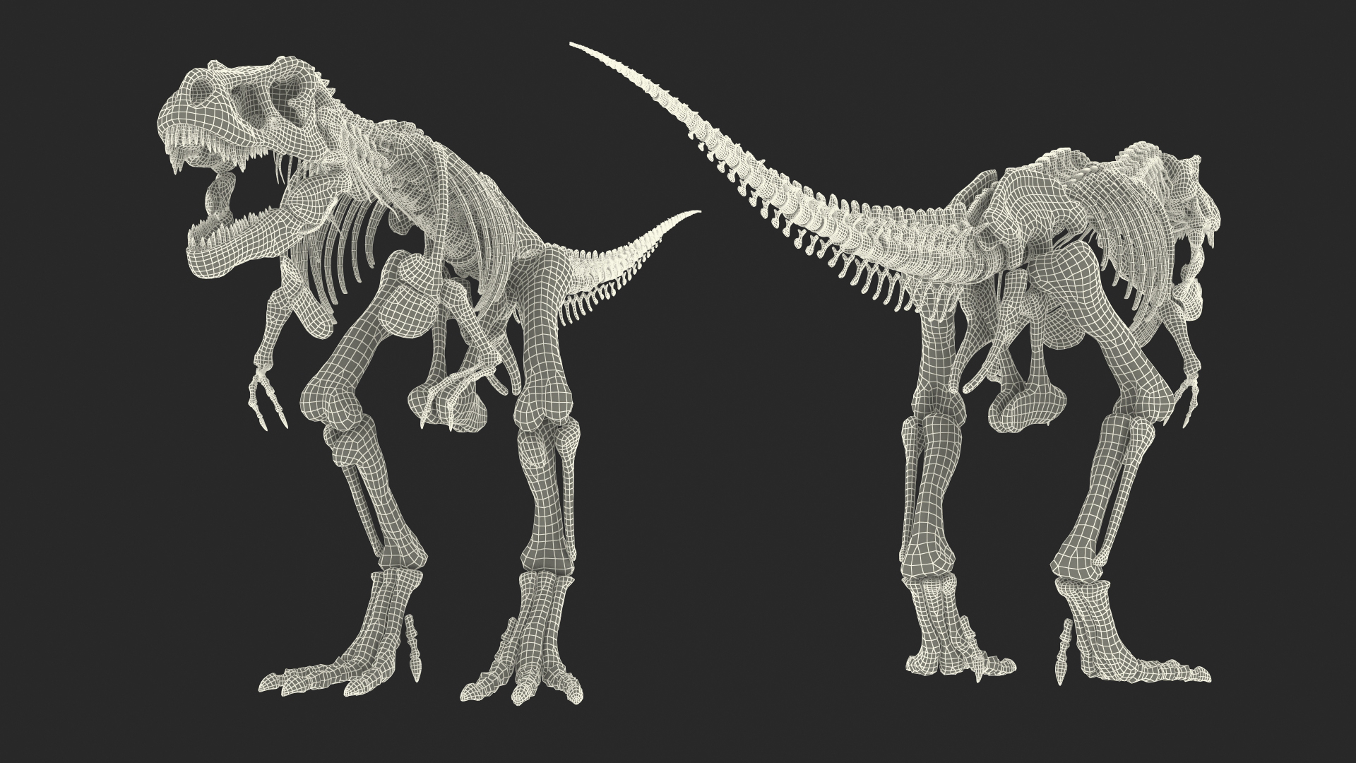 霸王龙骨架为玛雅人索具3d模型