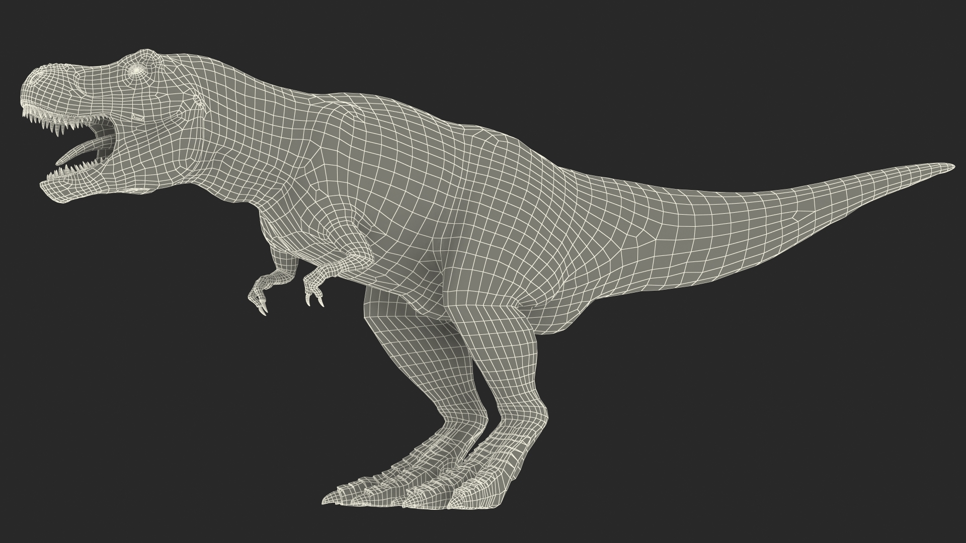 霸王龙的霸王龙骨架3d模型