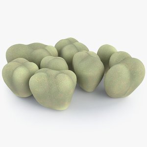coral growths 3D model