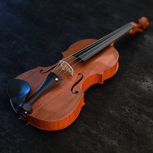3D violin cycles