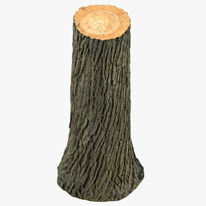 tree trunk 01 3D model