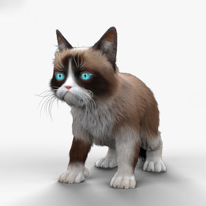 3D model grumpy cat