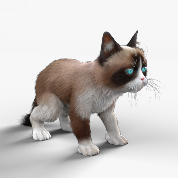 脾气暴躁的猫高清3d模型