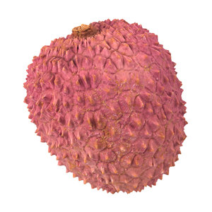 photorealistic scanned lychee 3D