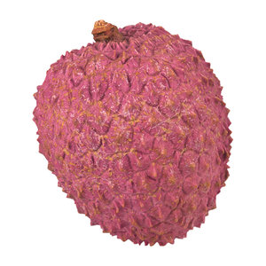 3D photorealistic scanned lychee