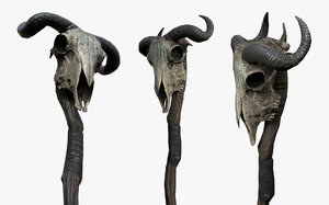 animal skull staff pbr 3D model