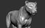 tiger vfx zbrush sculpt 3D model