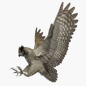rigged great horned owl 3D