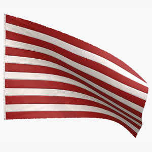 american flag 3D
