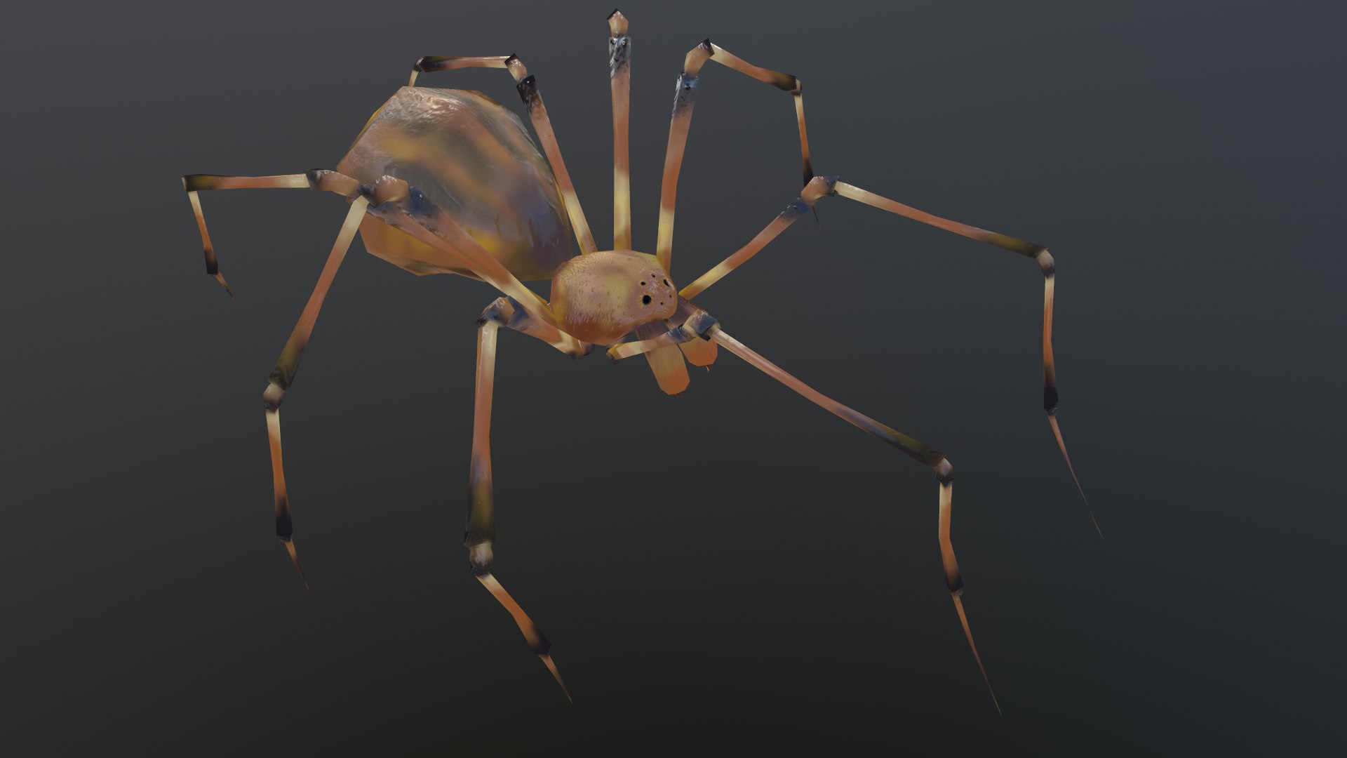 Паук Лоу Поли. Паук Low Poly. Паук 3д модель. Spider Walking animation.