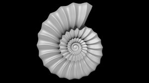 3D model serpenticone conch ornamented