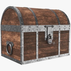 3D real chest model