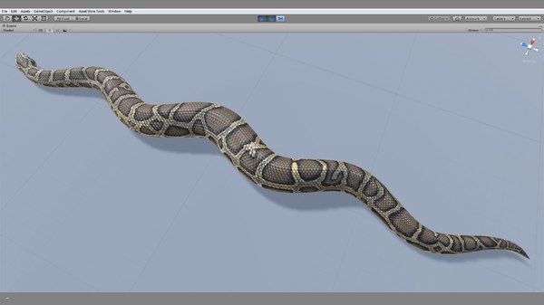 Burmese python animation 3D model - TurboSquid 1264730