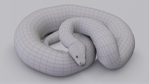 Burmese python animation 3D model - TurboSquid 1264730