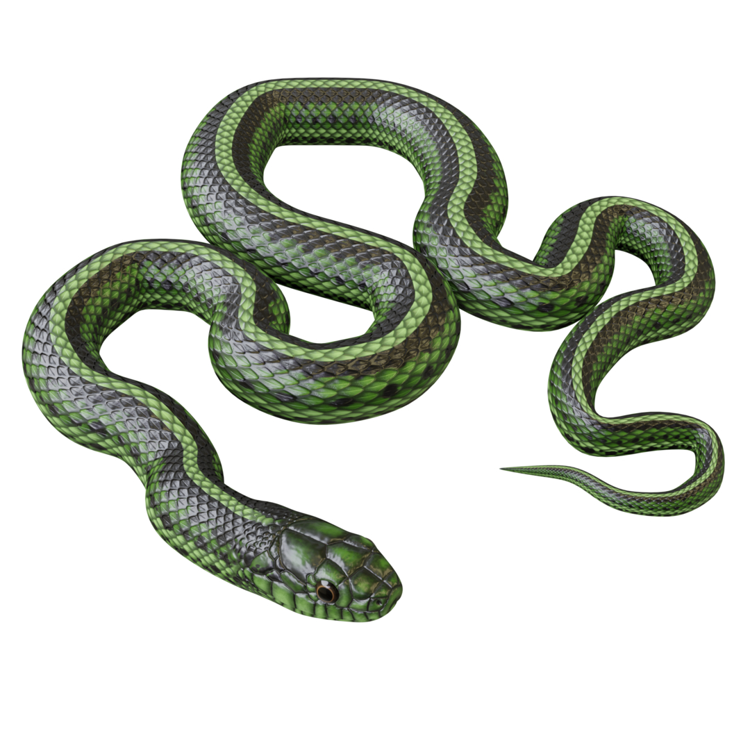 Green snake model - TurboSquid 1265391