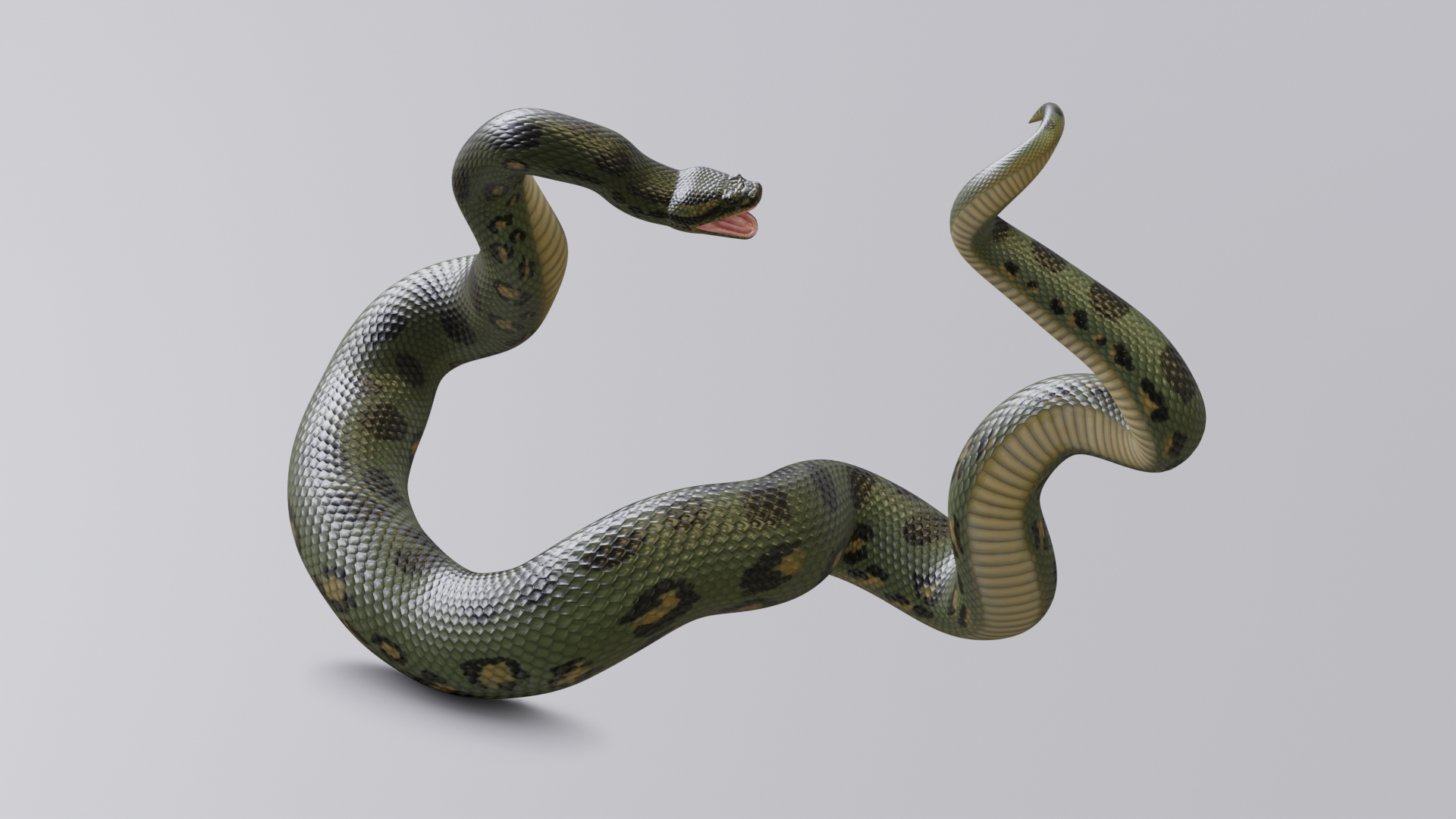 3D model green anaconda - TurboSquid 1256788