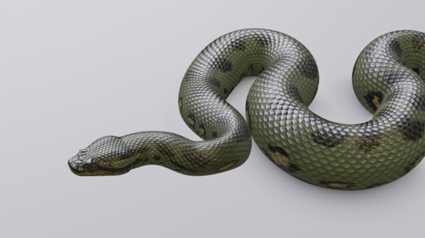 3D model green anaconda - TurboSquid 1256788