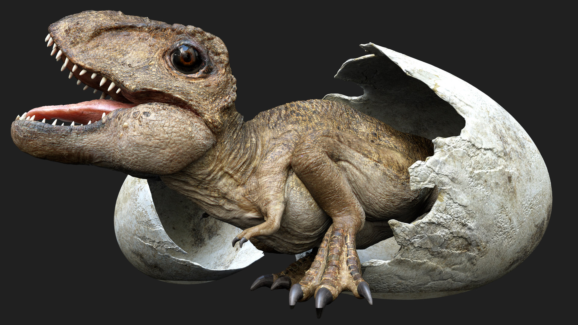 trex_baby 3d(已绑定)3d模型