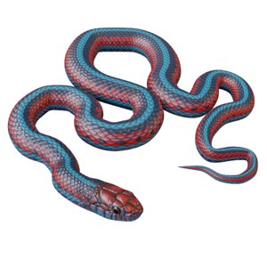 3D san francisco garter snake model
