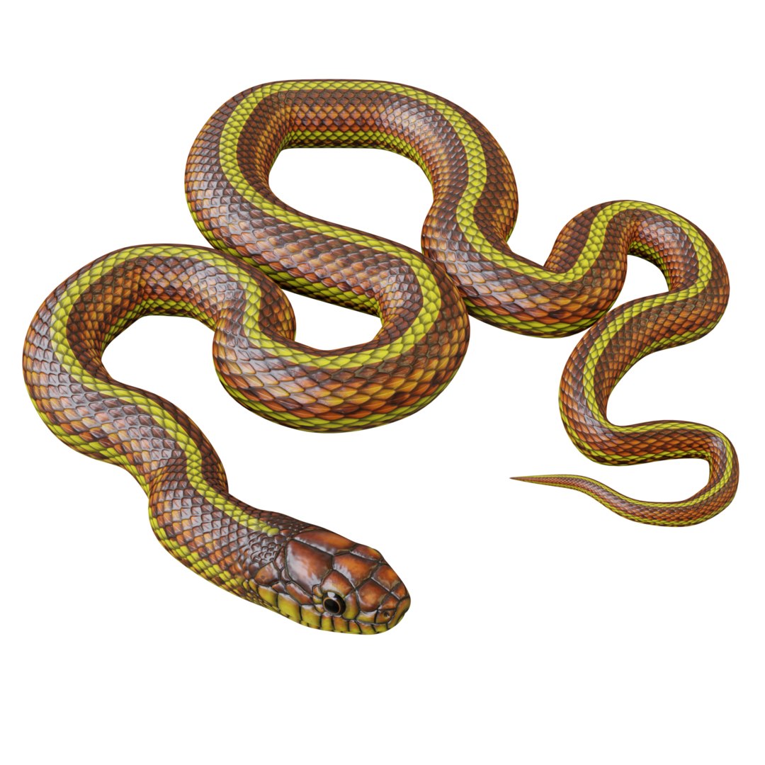 Yellow snake animation 3D model TurboSquid 1483896