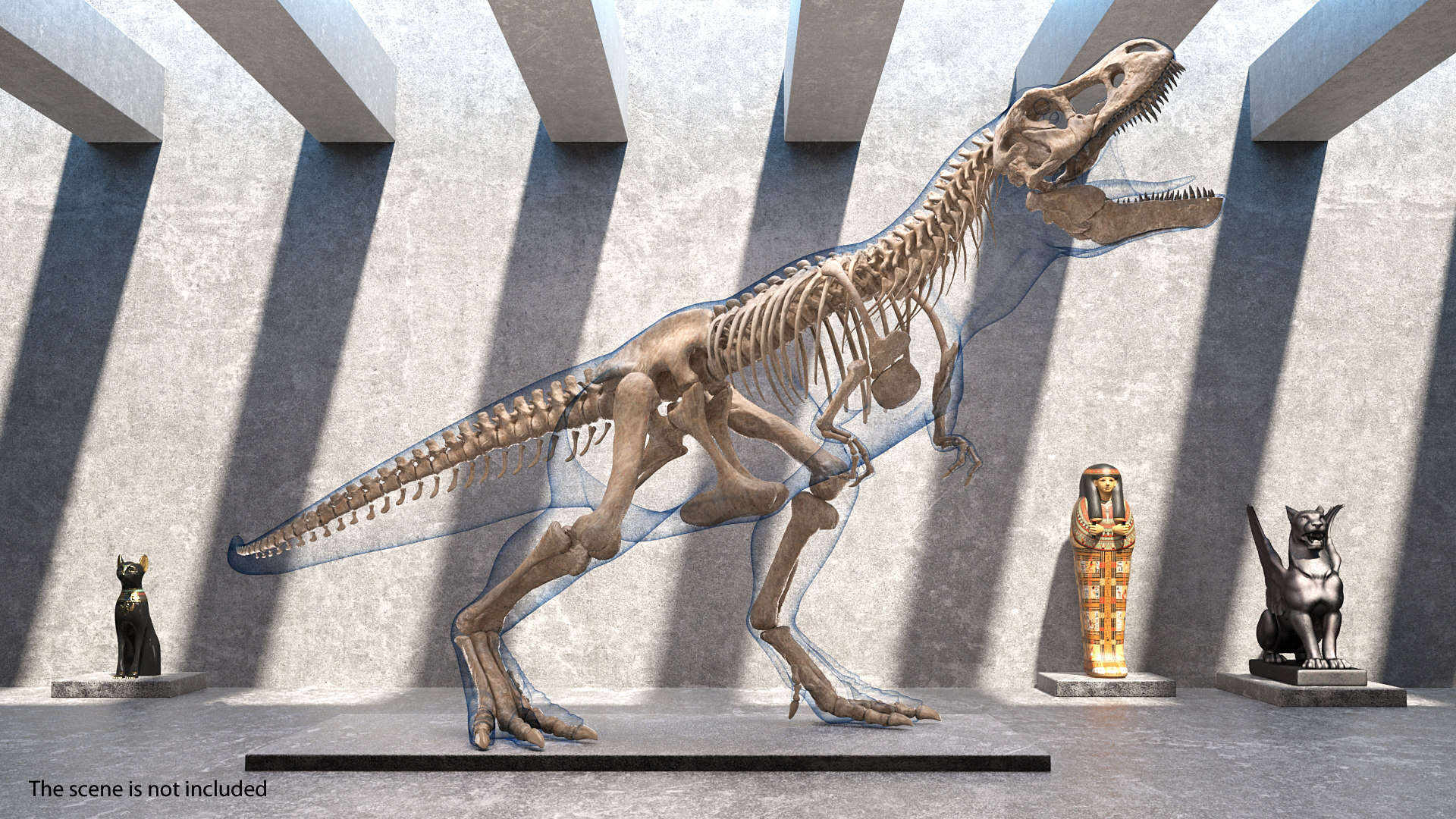 tyrannosaurus rex skeleton model